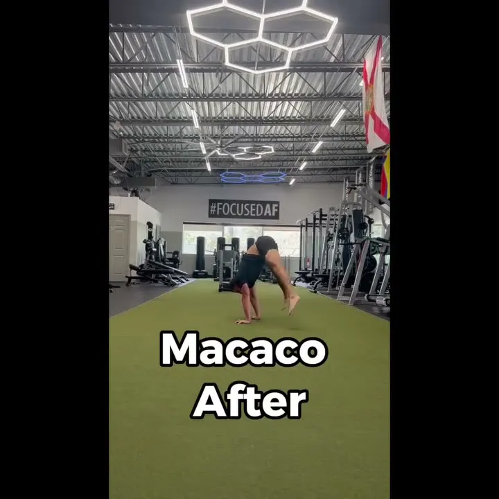 Macaco - before and after