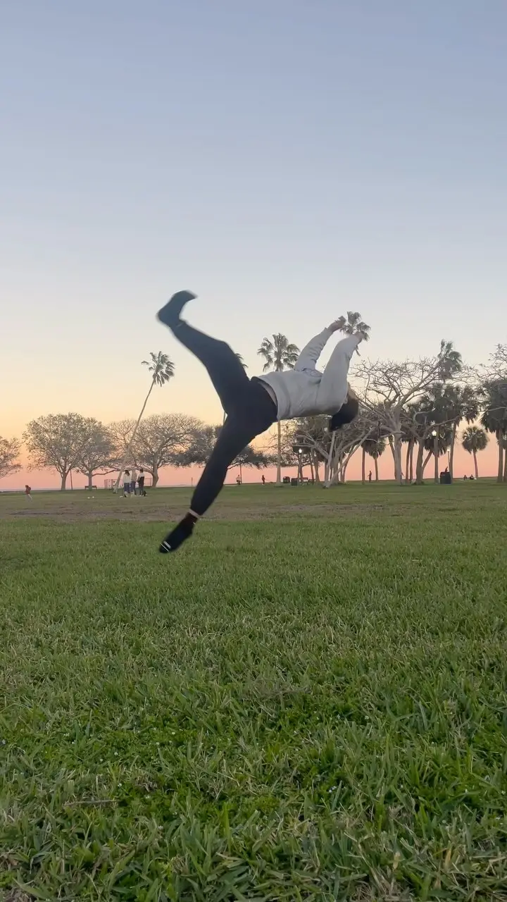 Aerial in a park at sunset