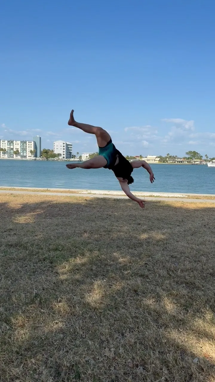 Aerial over the beach